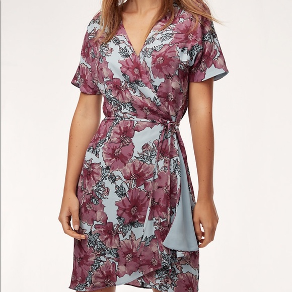 Aritzia Dresses & Skirts - NWT Babaton Wallace Dress